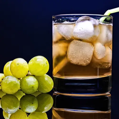 Refreshing citrus mocktail moment