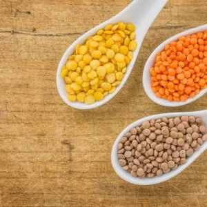 Best High Protein Vegetarian Foods
