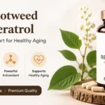 Japanese Knotweed Resveratrol Wellness