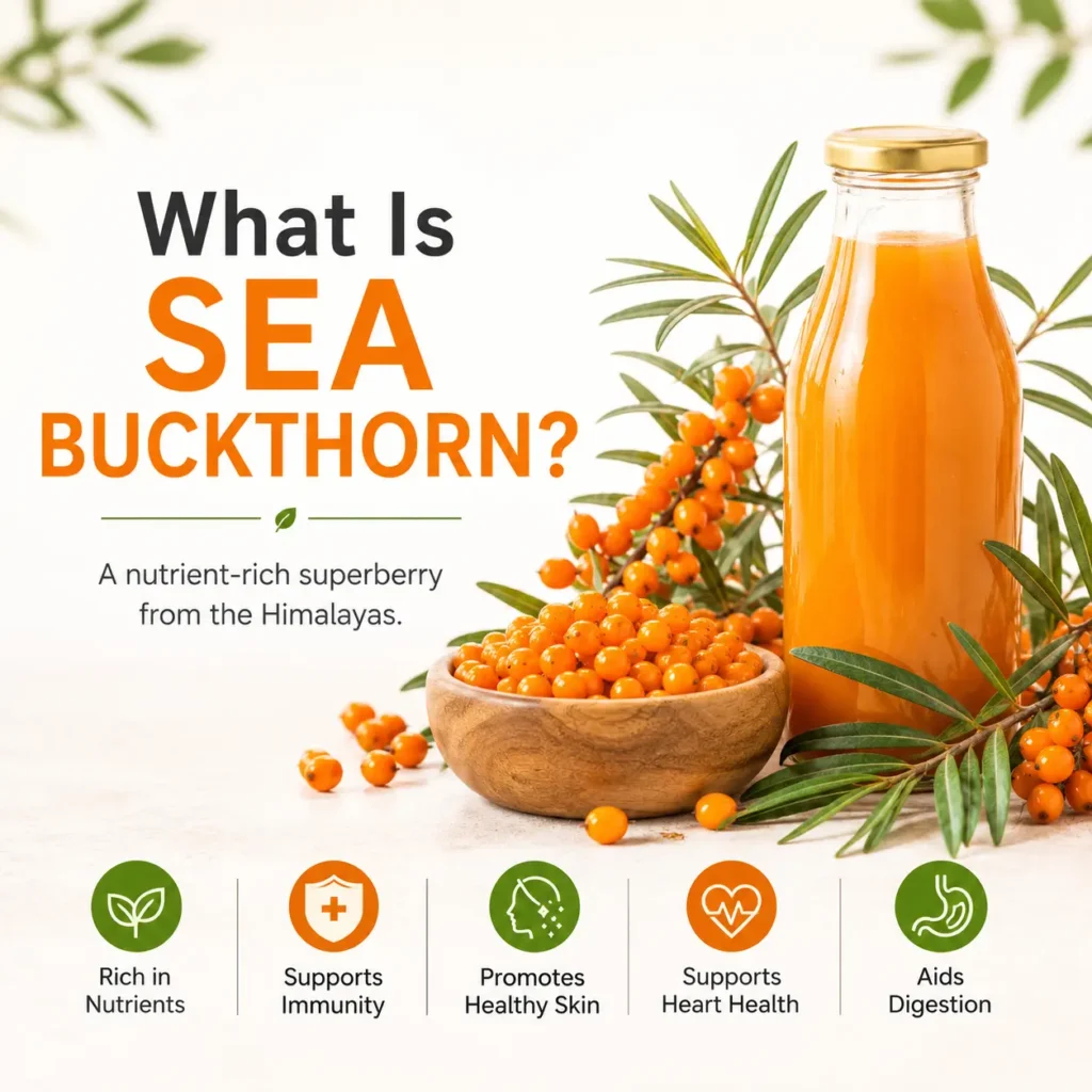 What is sea buckthorn